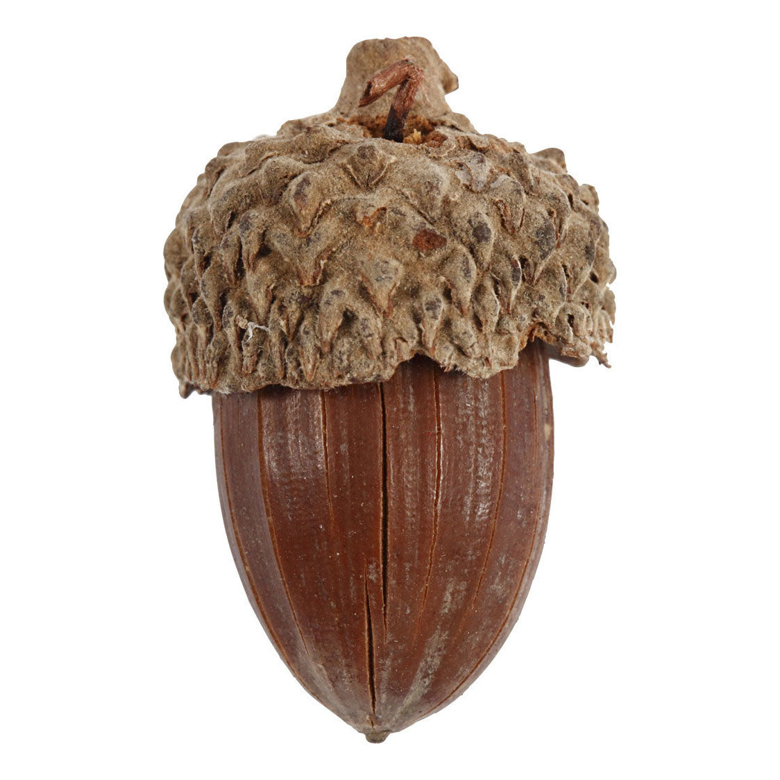 Creative Company acorns, 12 pcs.