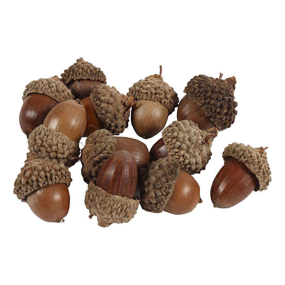 Creative Company acorns, 12 pcs.