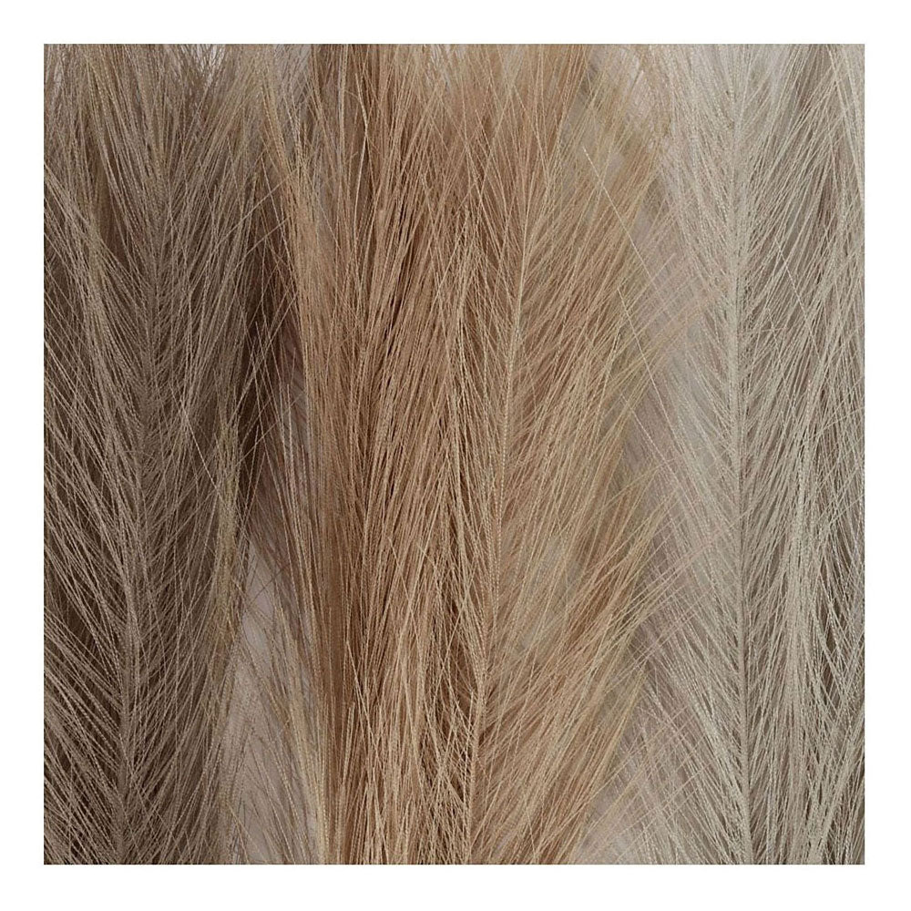 Creativ company pampasgras, l: 50 cm, licht beige, lichtbruin, lichtgrijs, 3 stuk 1 bol