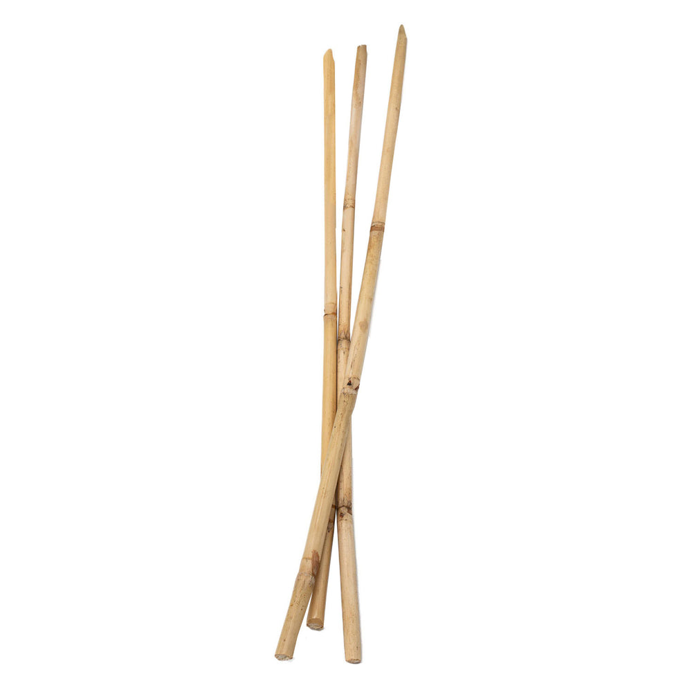 Kleuringen - bamboestokken 50cm, 3st.
