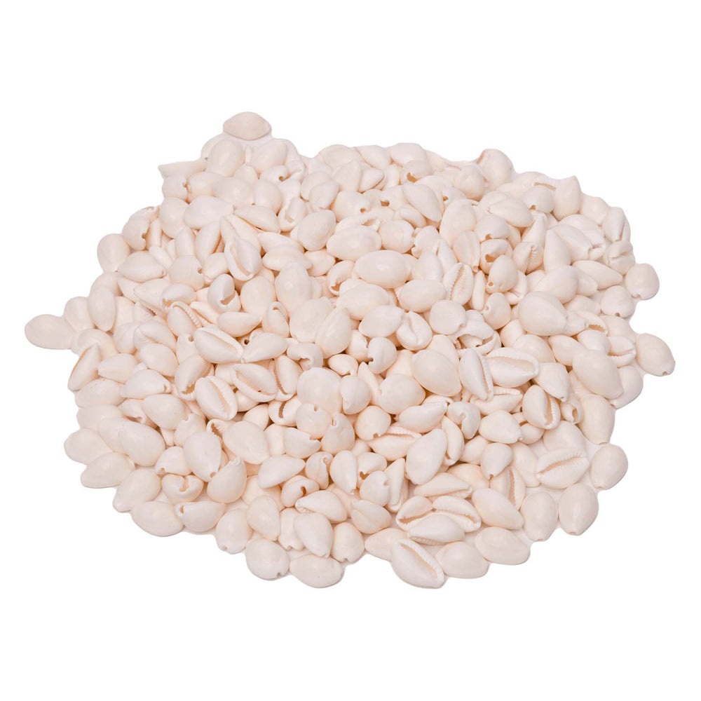 Kleurstoffen - zeeschelpen kauri, 300g