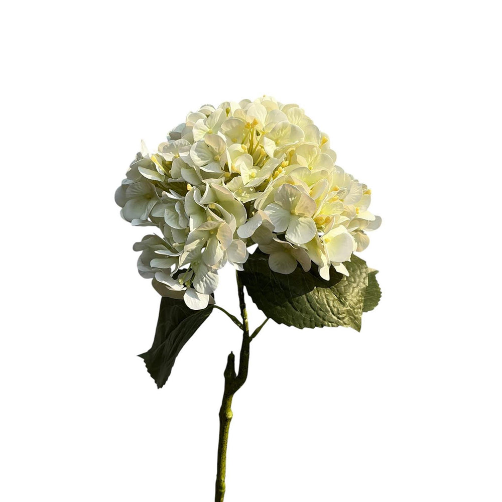 Roberts collection kunstbloem hydrangea real touch 75cm creme