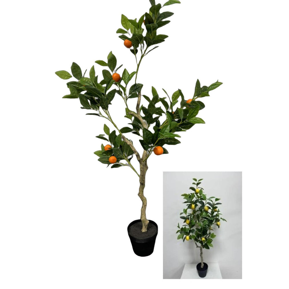 Deco citroen- sinaasappelboom in pot h120cm