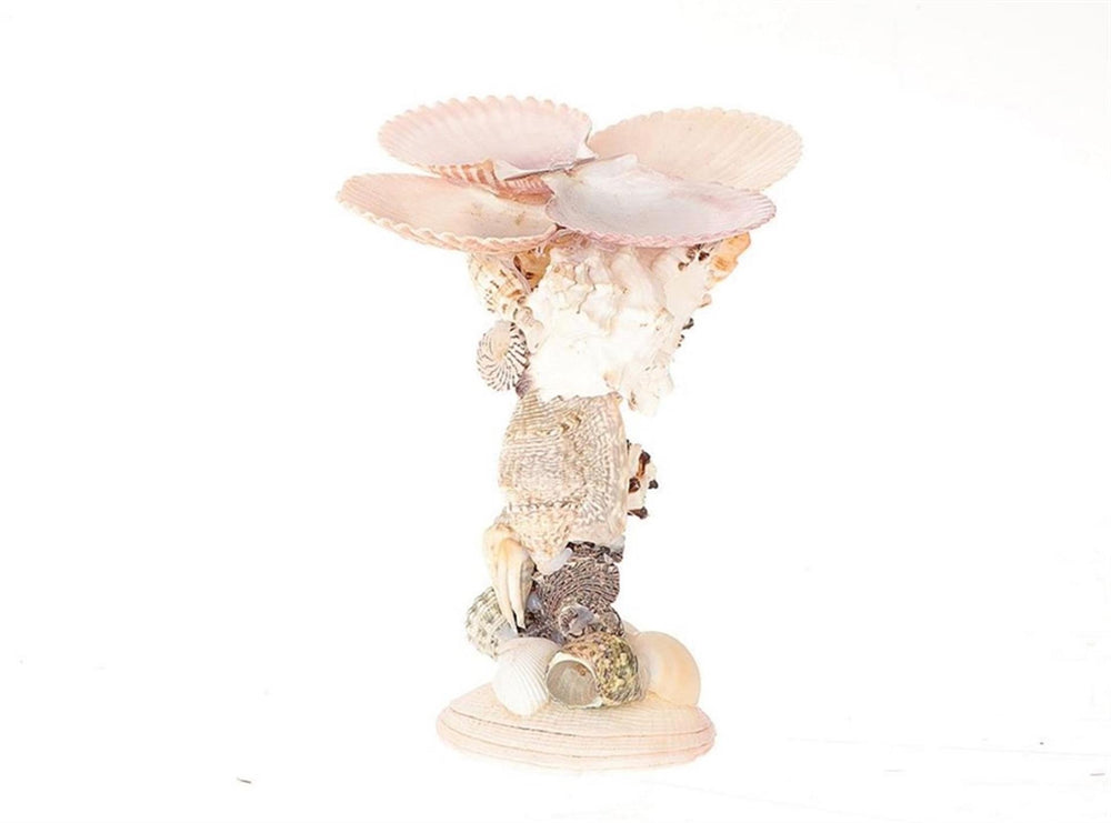 Hbx natural living kandelaarmet schelpen dia15,5x16cm