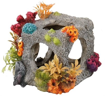 Ebi decor kubus habitat