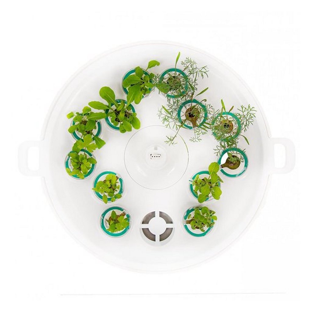 Plantui booster tray wit