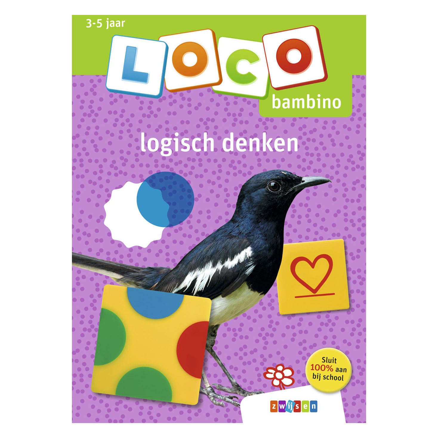 Loco bambino bambino loco logisch denken