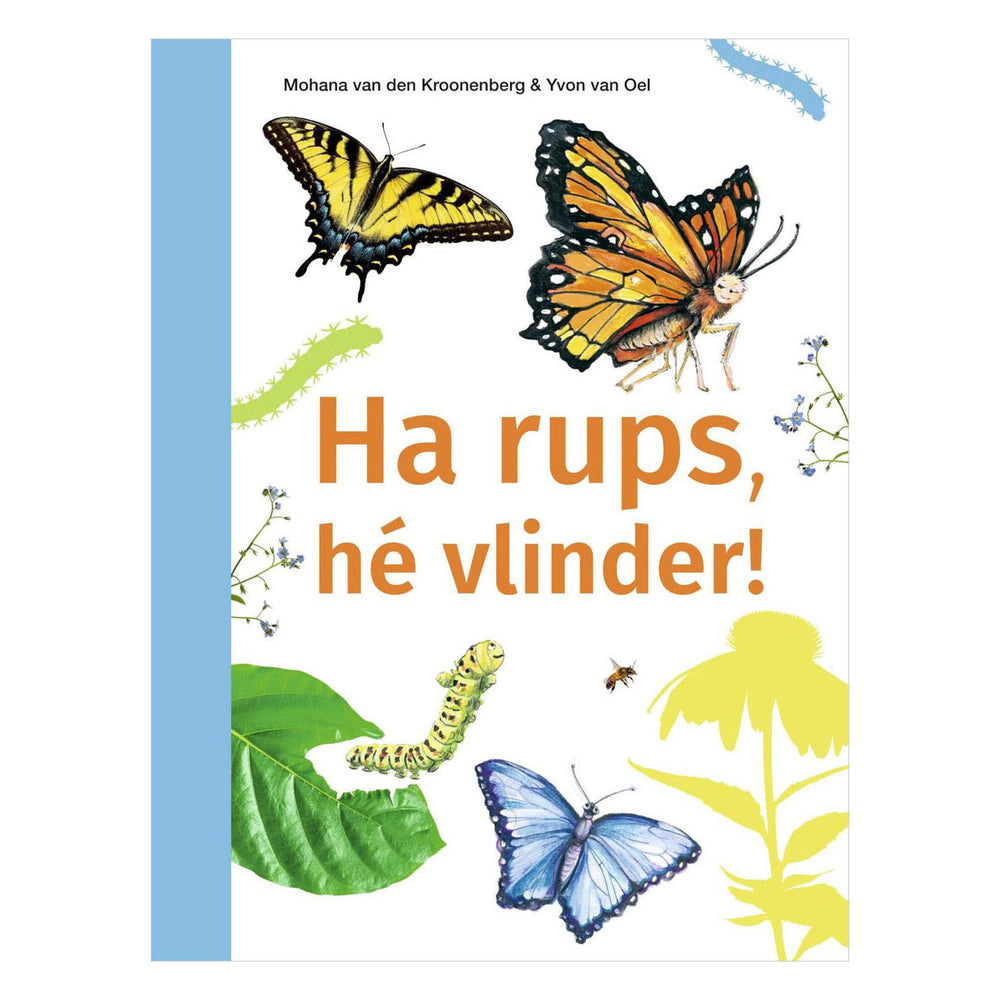 Wpg uitgevers ha rups, hé vlinder! - avi m4