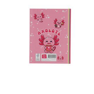 Boek vriendenboek axolotl | 2 stuks