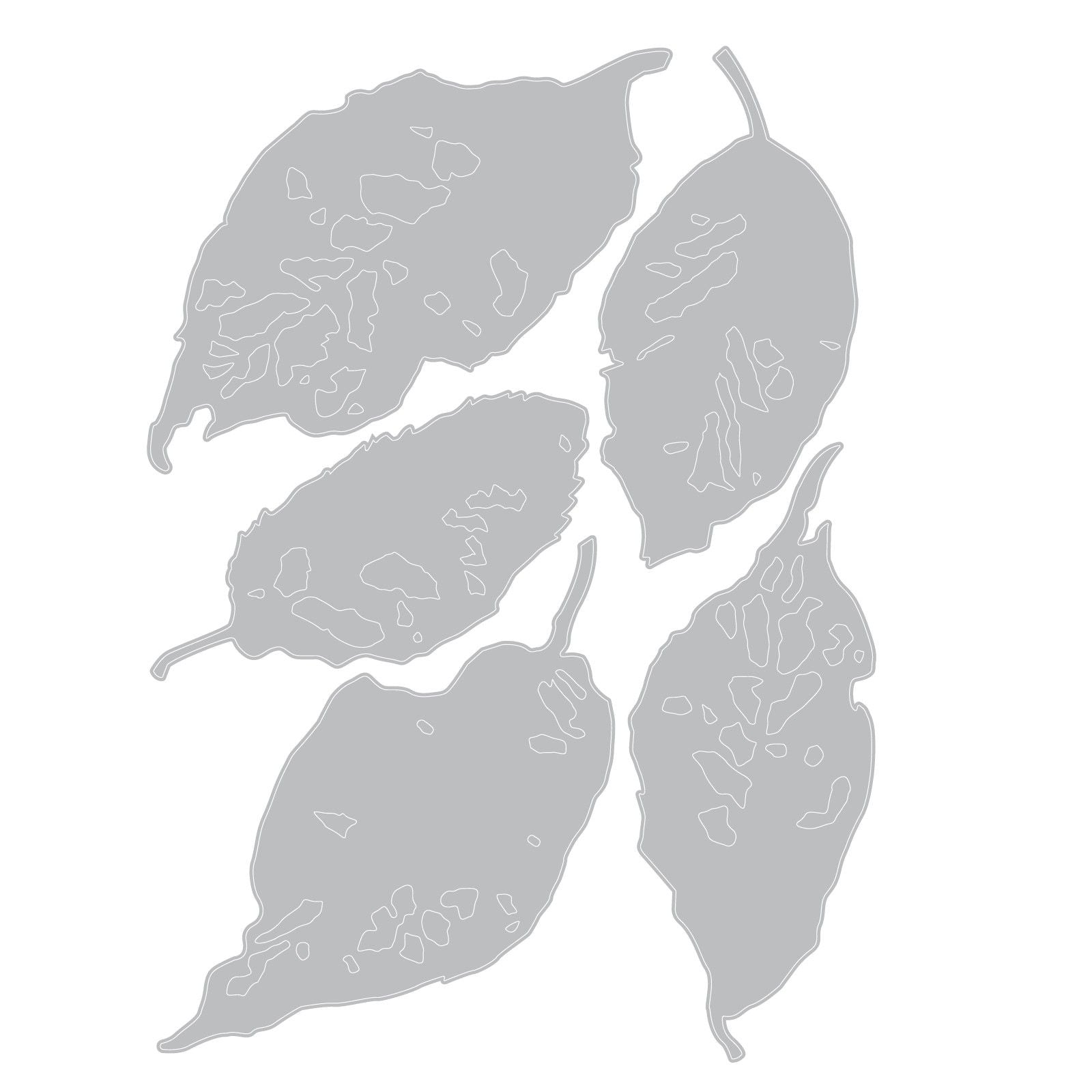 Sizzix • die set 5pcs leaf fragments by tim holtz