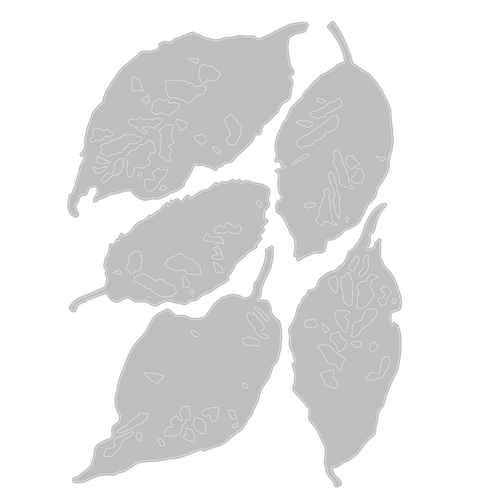 Sizzix • die set 5pcs leaf fragments by tim holtz