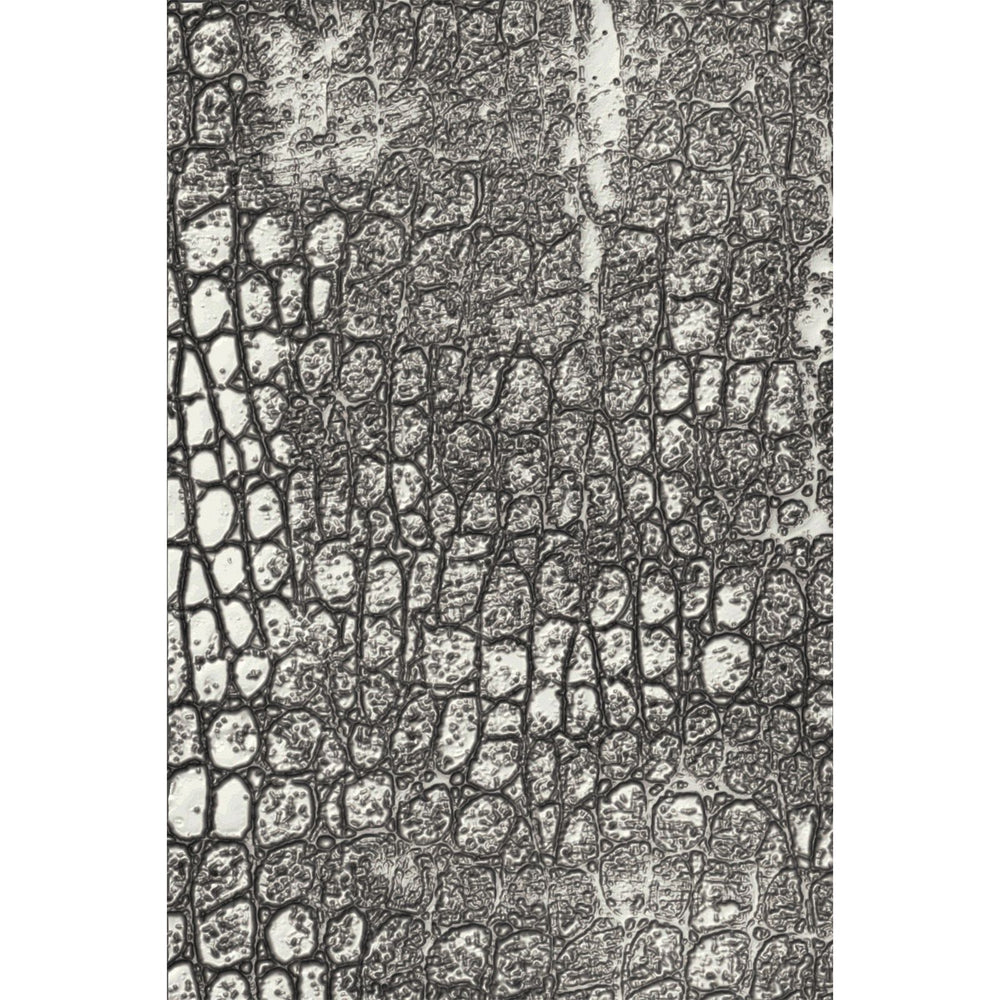 Sizzix • tim holtz 3d texture fades embossing folder reptile