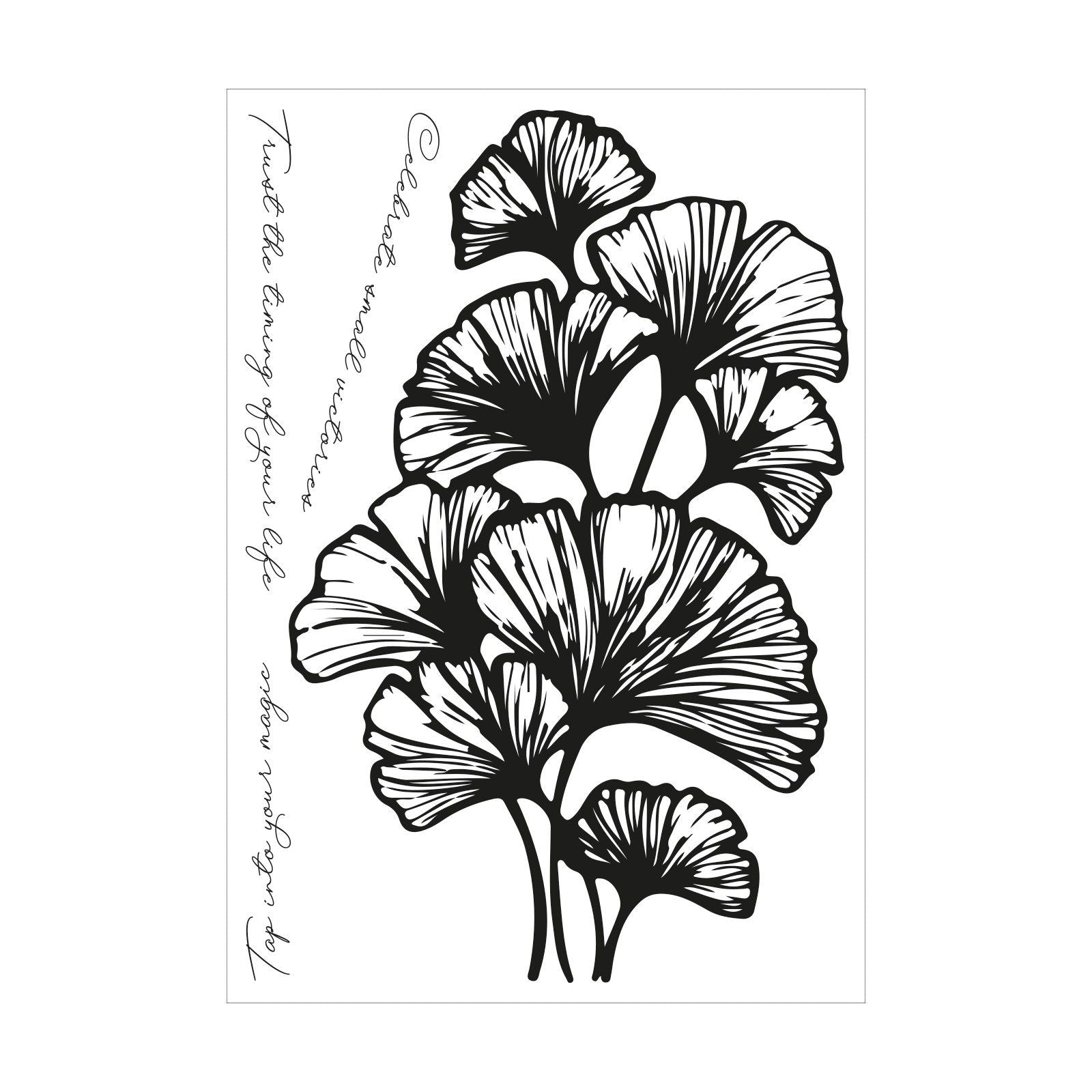 Sizzix • cosmopolitan clear stamp set inspire 4pcs