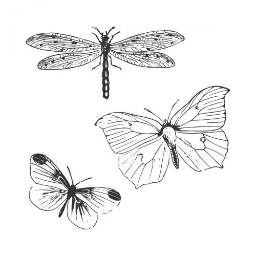 Sizzix • framelits die set with stamp engraved wings