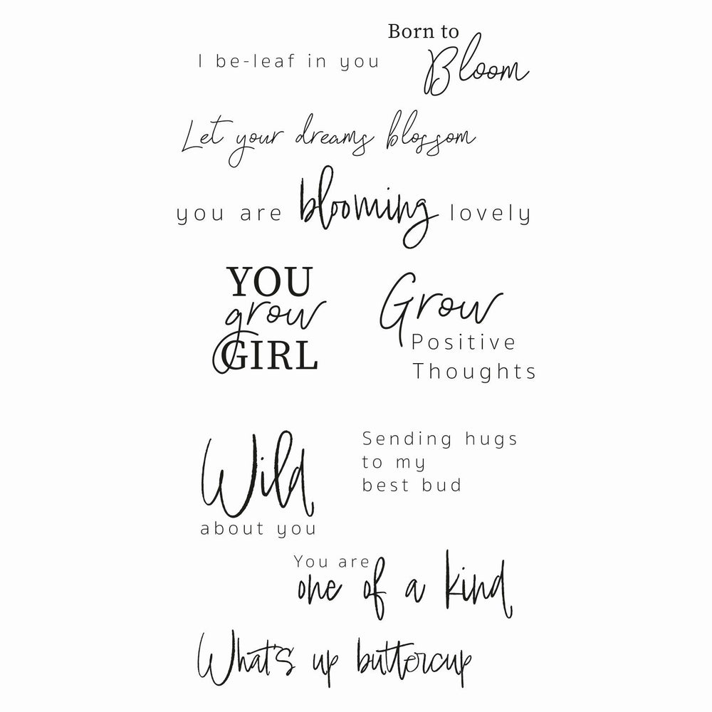 Sizzix • clear stamp set born to bloom 10pcs