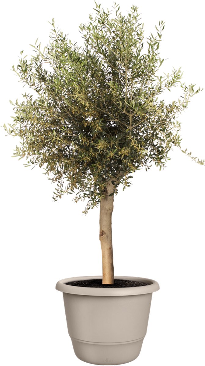 Elho amiga rond 55 - grote bloempot voor binnen buiten - 100% gerecycled plastic - ø 55 x h 41.3 cm - paddenstoel beige