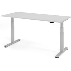 Bach zit-sta bureau hammerer grijs 180x80x127cm