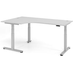 Bach zit-sta bureau hammerer grijs 200x120x127