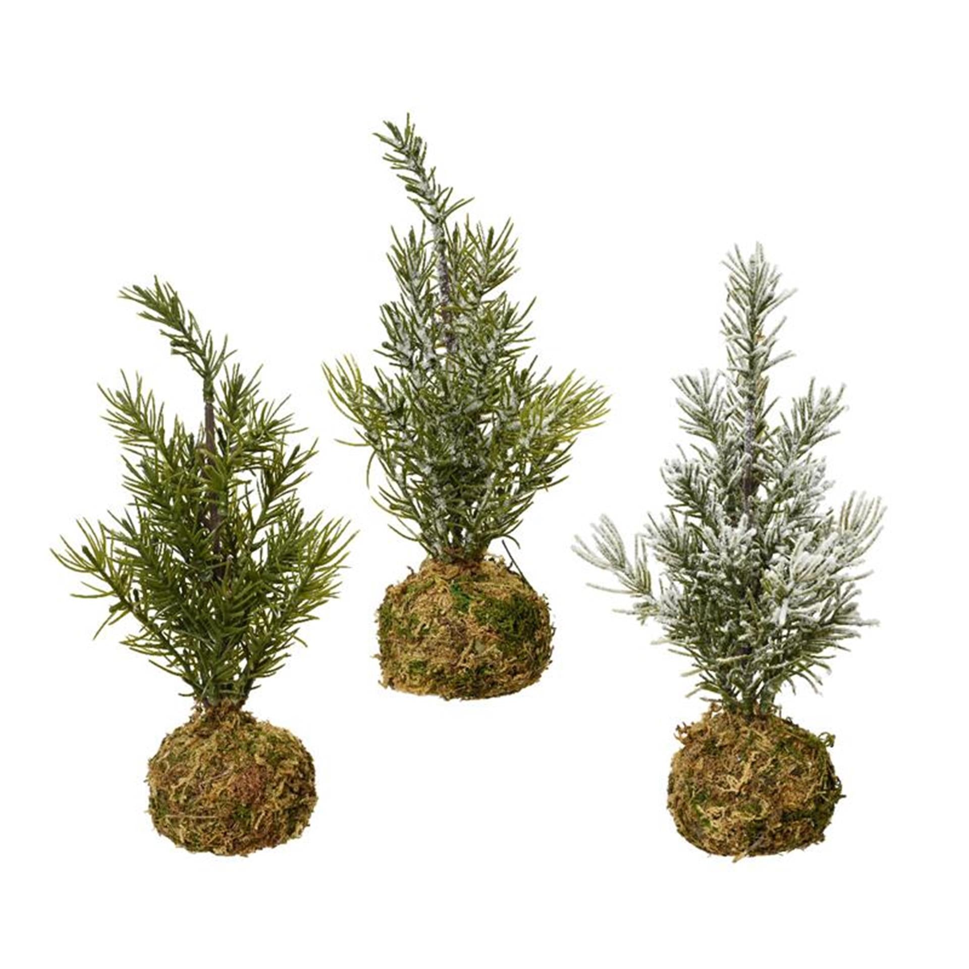Decoris kerstboom mini op mosbol h23cm