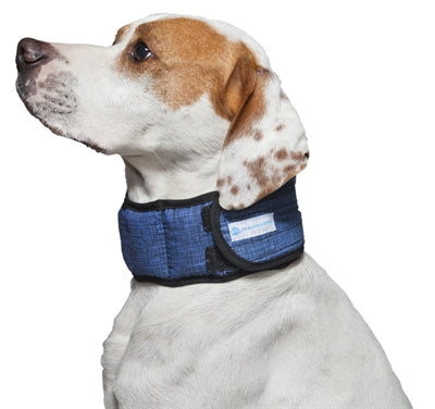 Halsband aqua coolkeeper pacific blauw