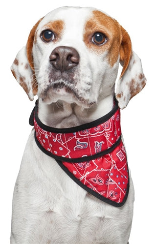 Bandana aqua coolkeeper rood western