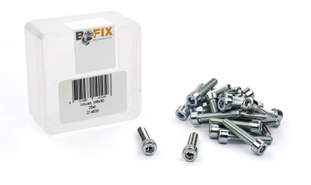 Bofix bout xtrabike inbus m6x30 staal