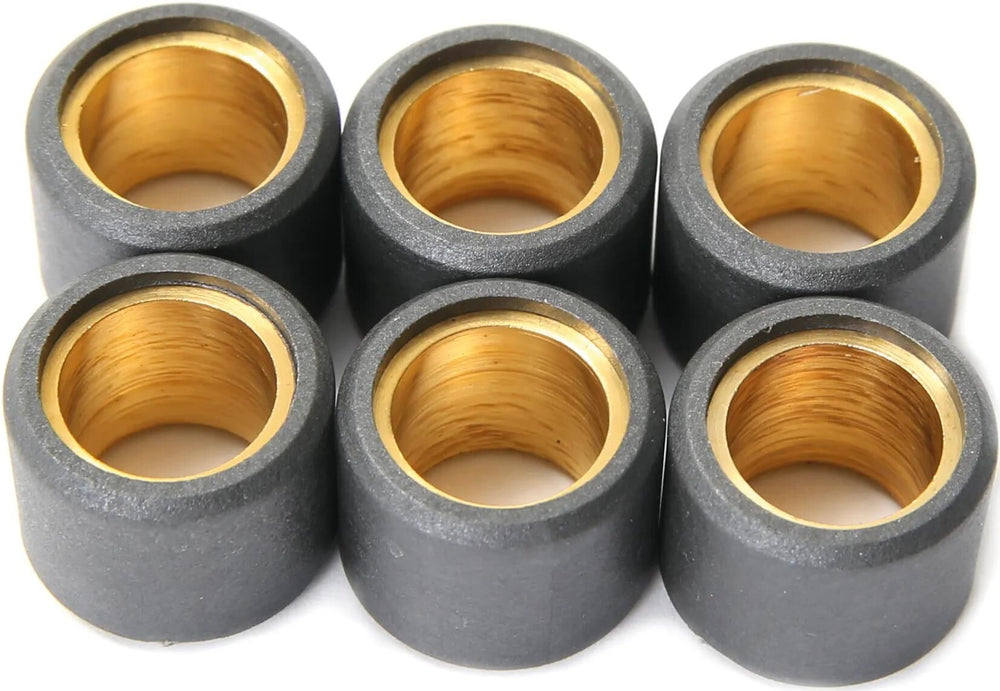 Vicma variomatikgewicht roller core set 19x13,5, 10 gr,6pcs, 4177