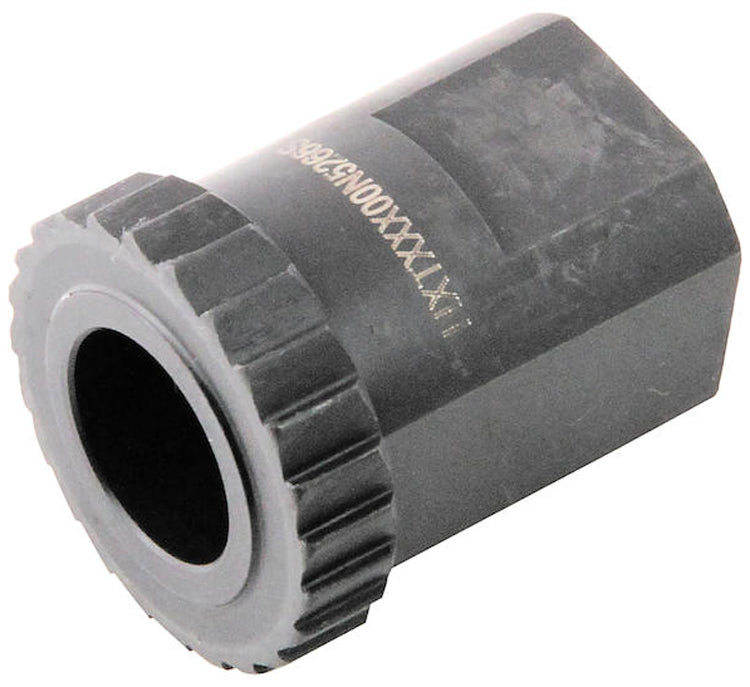 Dt swiss mounting tool for ringnut 3 pawl system