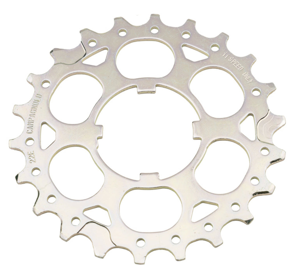 Campagnolo tandkrans 22e