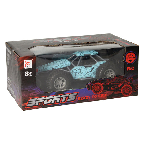 Rc bestuurbare auto met rookfunctie