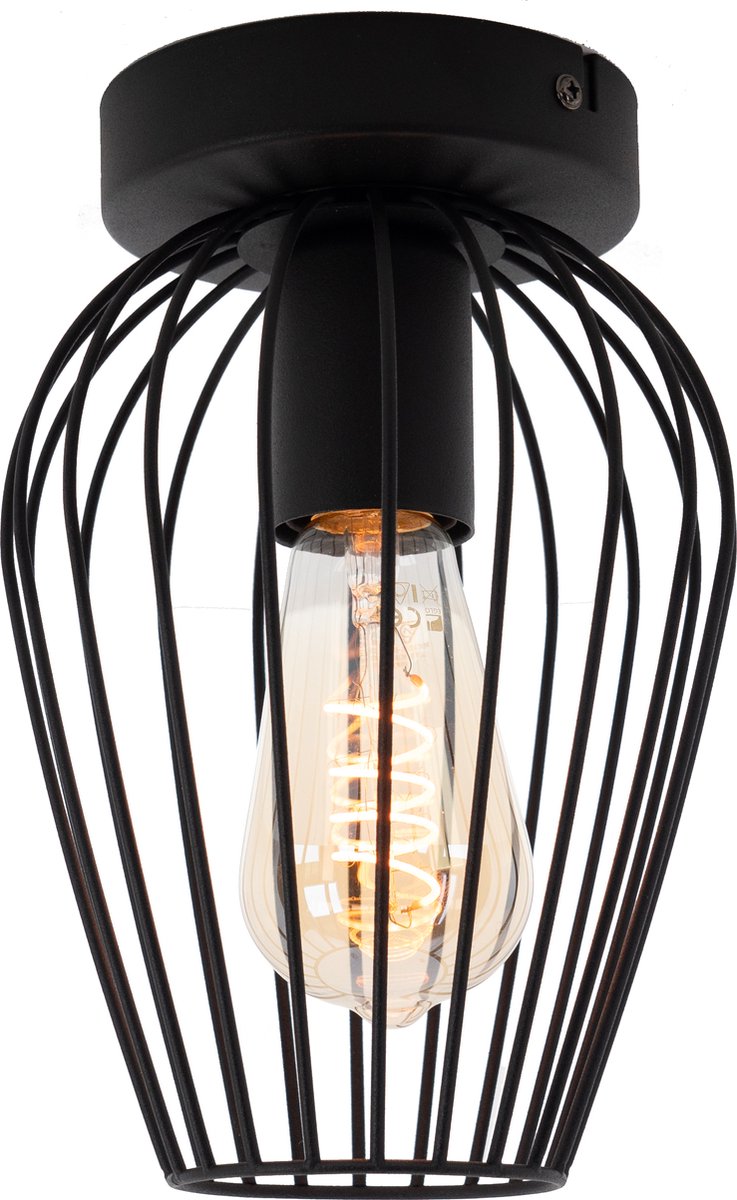 Eglo newtown plafondlamp - e27 - ø 16 cm - zwart