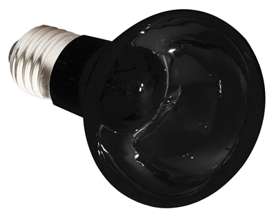 Komodo nachtlamp es