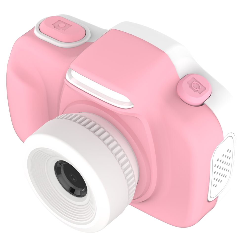 Mijn eerste camera 3 rozen