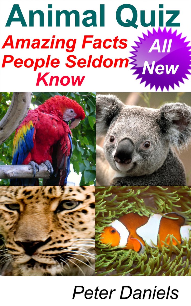 Animal quiz