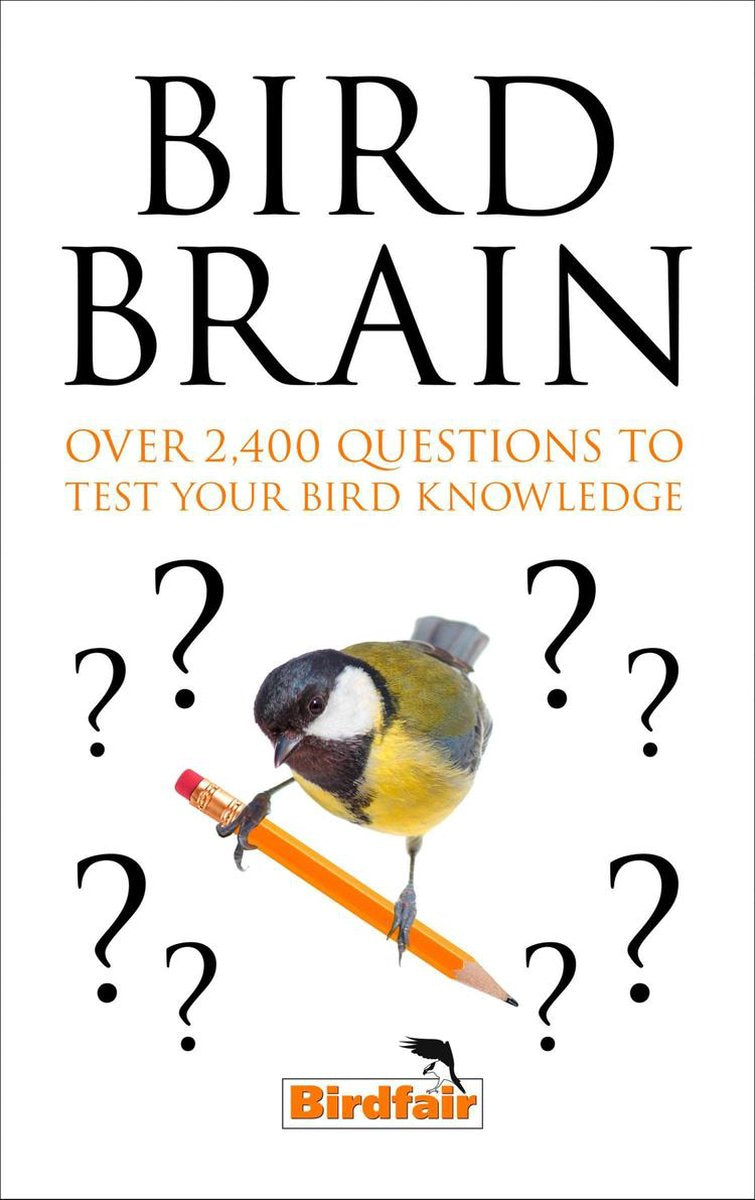 Bird brain