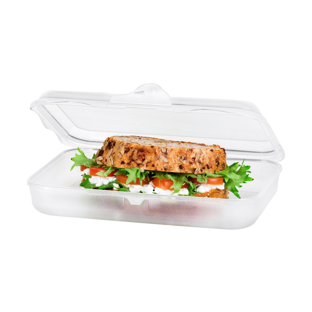 Rotho fun lunchbox 0,45l transparant