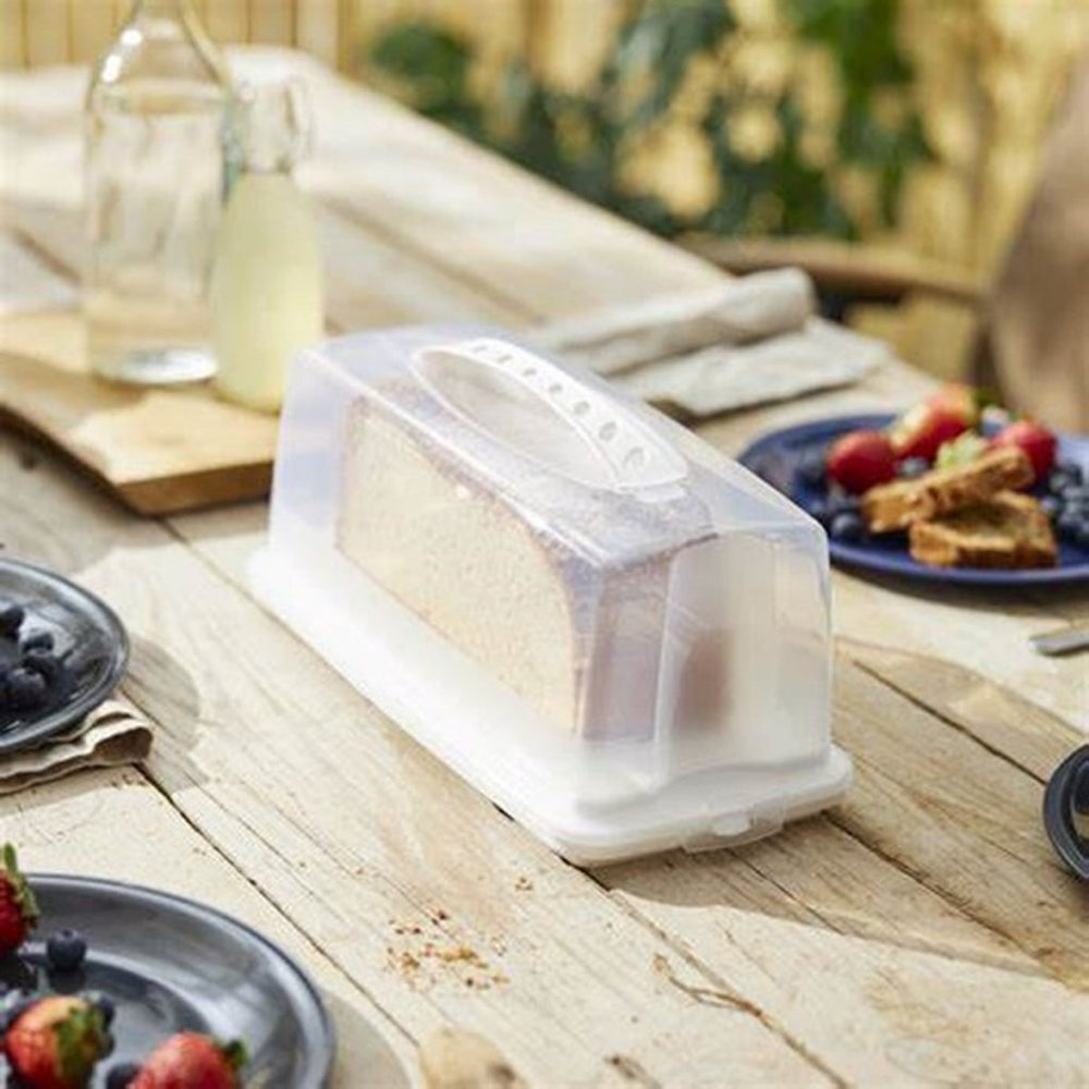 Rotho fresh cakedoos rechthoekig 36x16,5x16,5 cm wit transparant