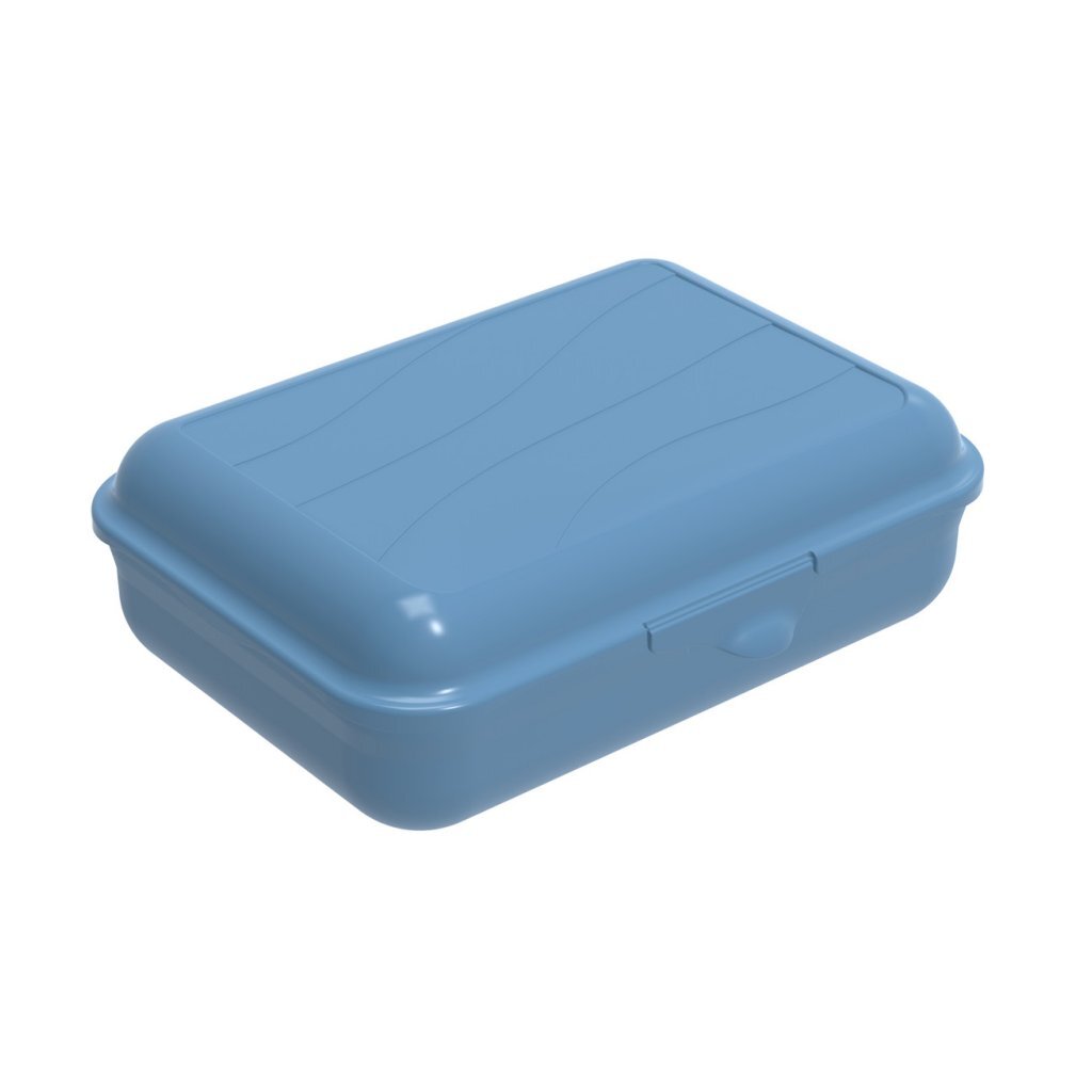 Rotho fun lunchbox 1,25l horizon blauw