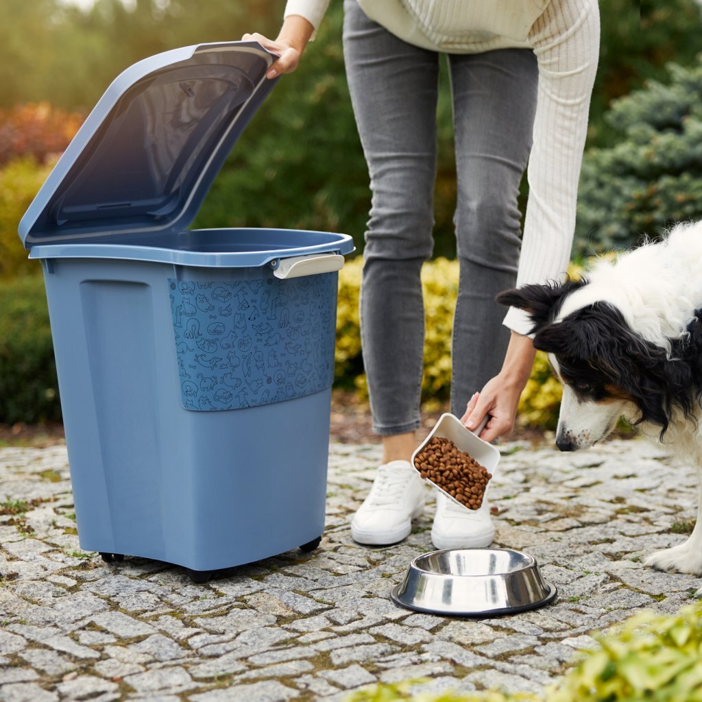 Rotho Rotho Archie Voedselcontainer 38L Blauw