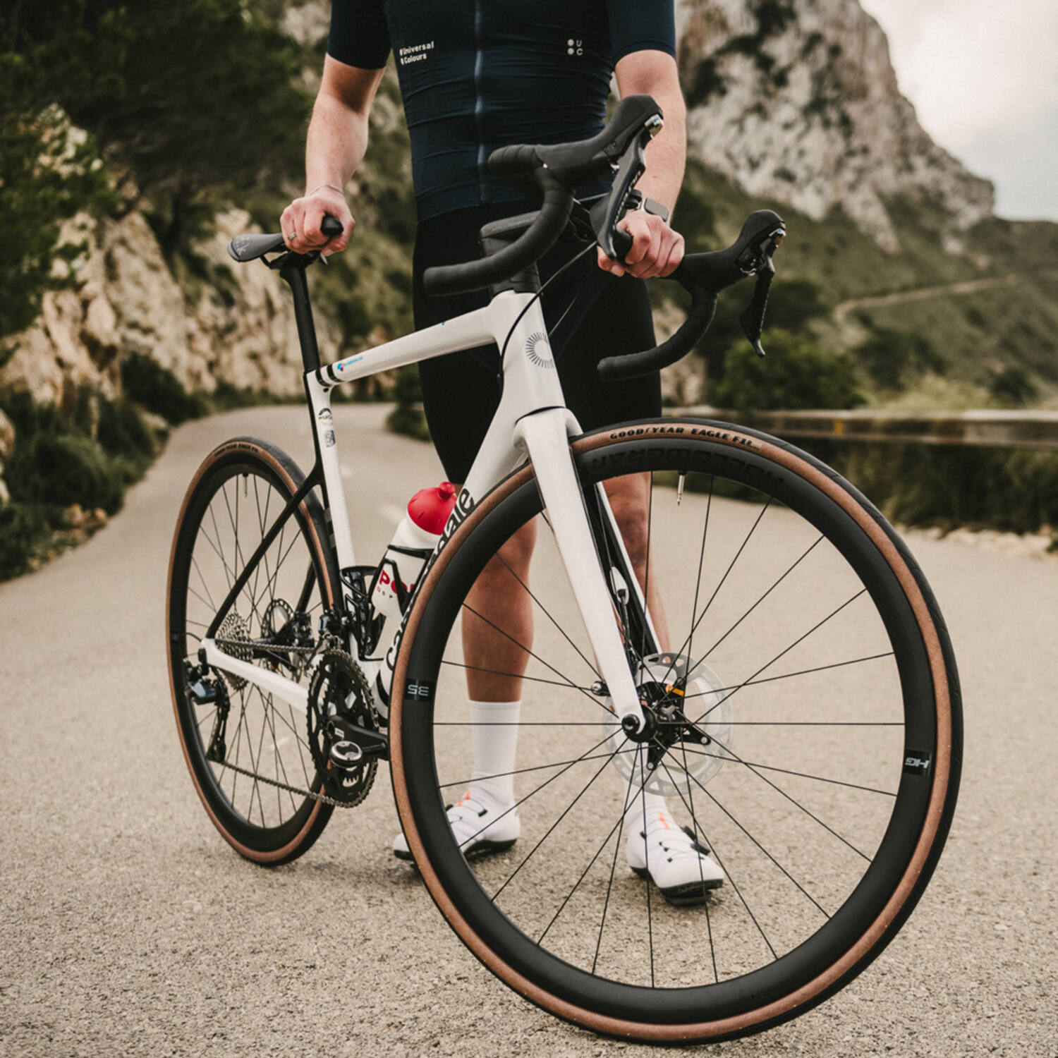 Goodyear Eagle f1 r tlc 700x34c transparant