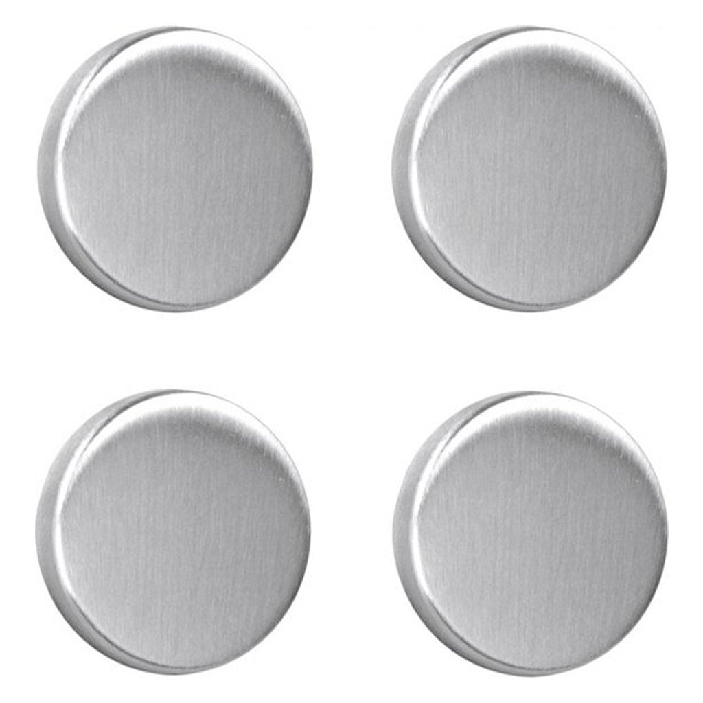 Metaltex magneten rond 4 stuks rvs