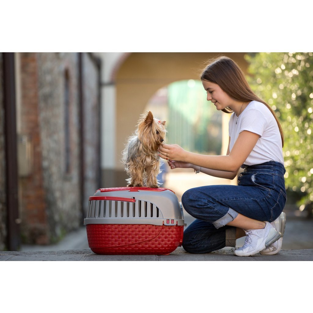 Bama huisdierentransportbox 59x38x37 cm rood zilver