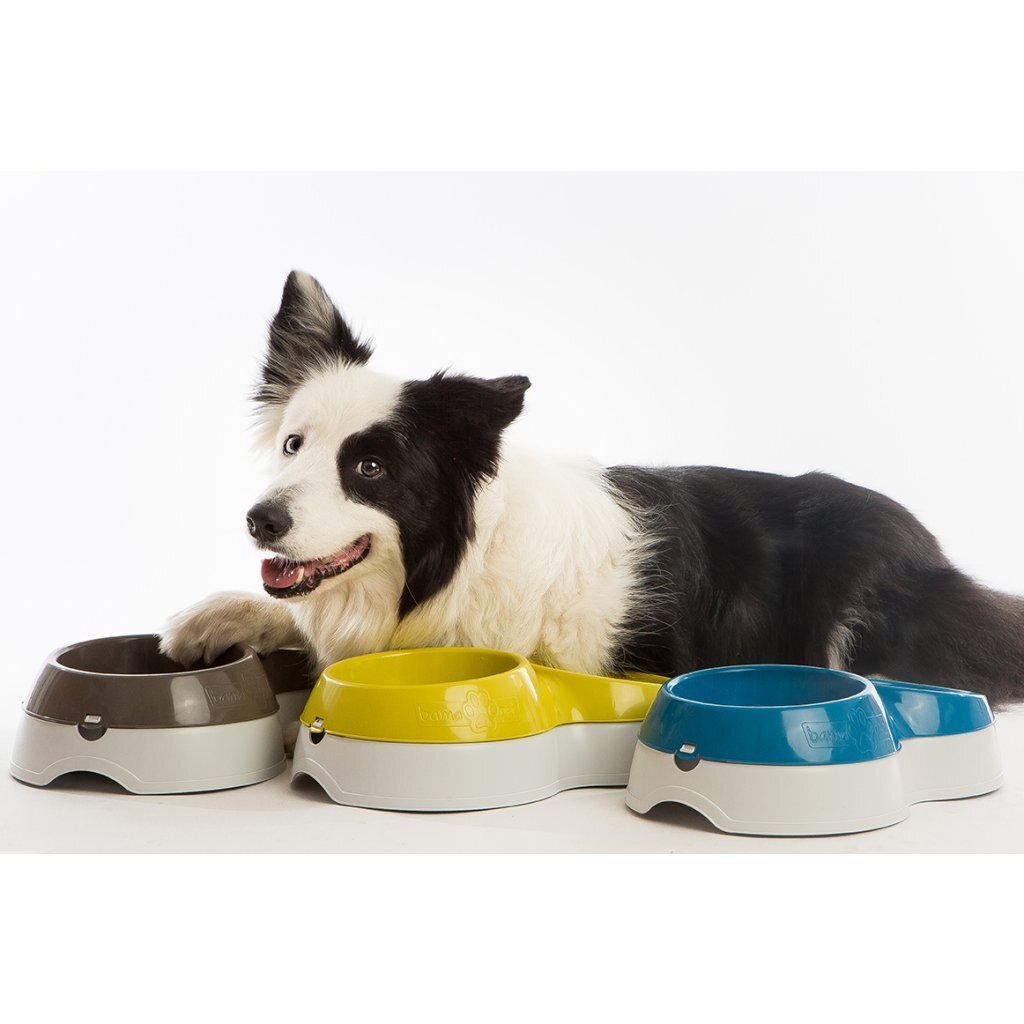 Bama pet voerbak met waterreservoir 33x20x9 cm assorti