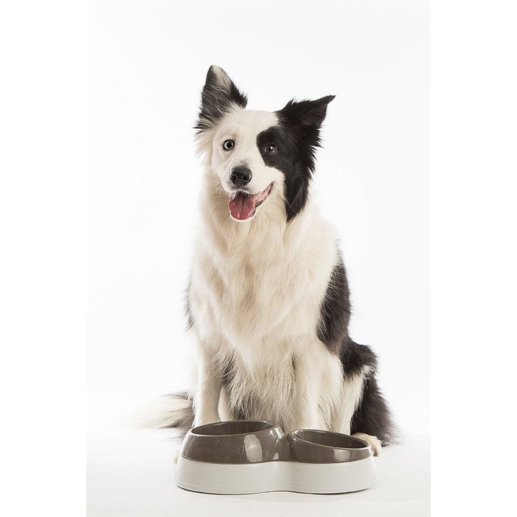 Bama pet voerbak met waterreservoir 33x20x9 cm assorti