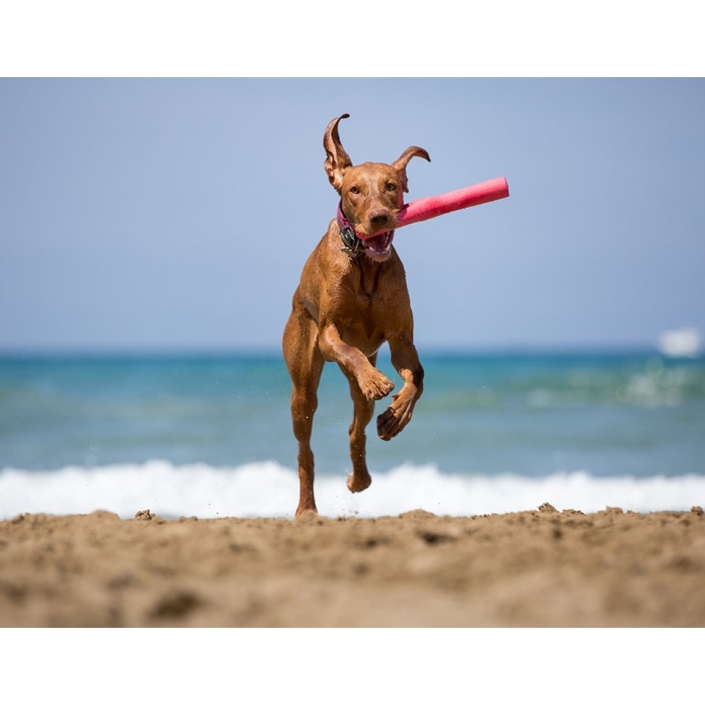 Bama tuttomio rubberen speelstok 11x4x37 cm assorti