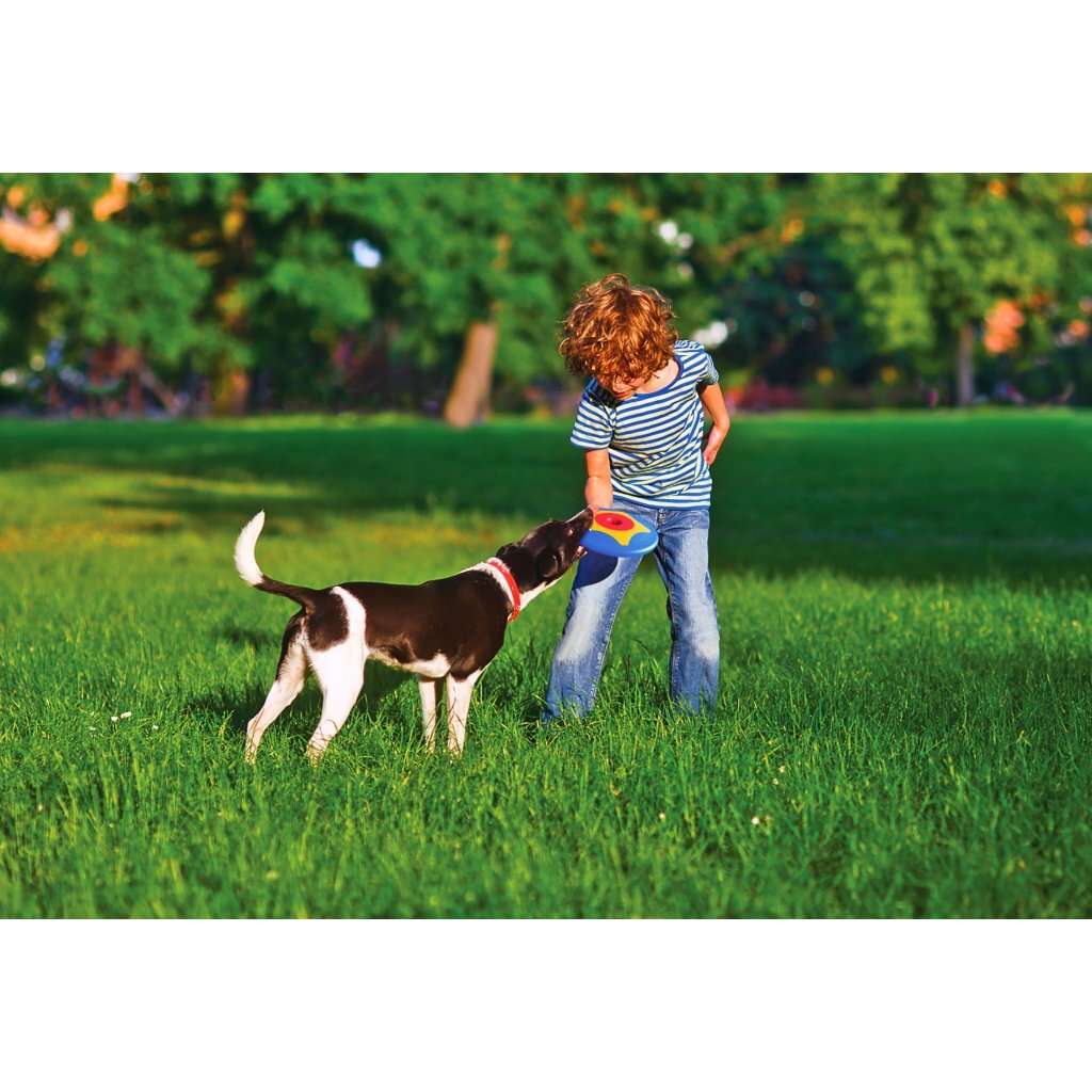 Bama pet trotto disk hondenspeelgoed 24,5x4,5 cm blauw geel rood