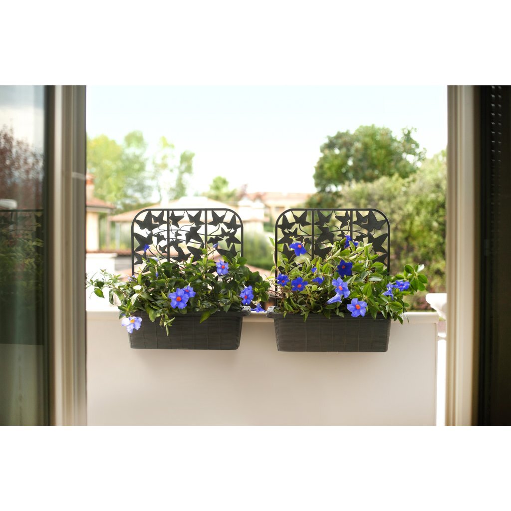 Bama fioriera bloem-balkonbakken privacy 60x22x64 cm 2 stuks antraciet