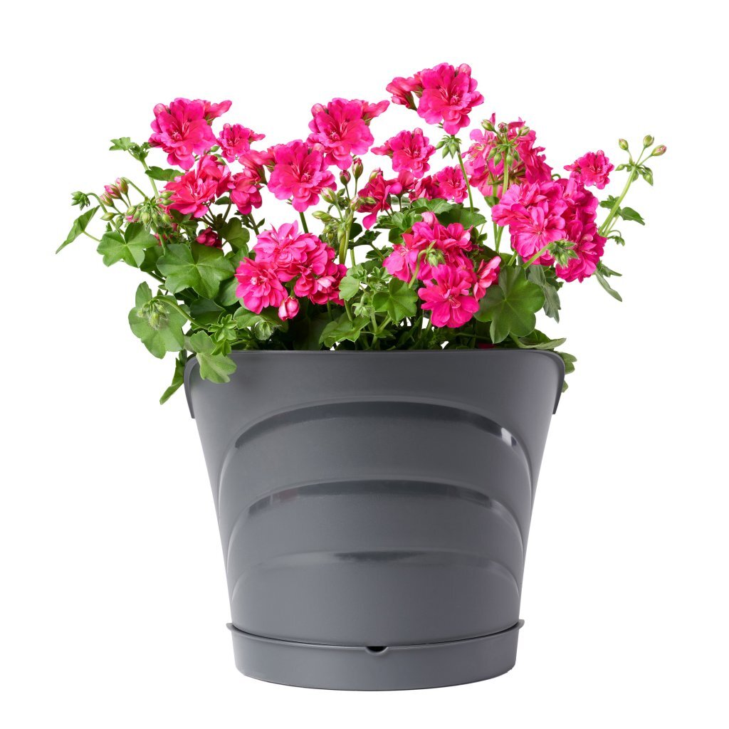 Bama Tulipano bloempot 5l 34,5x19x30 cm 4 stuks antraciet