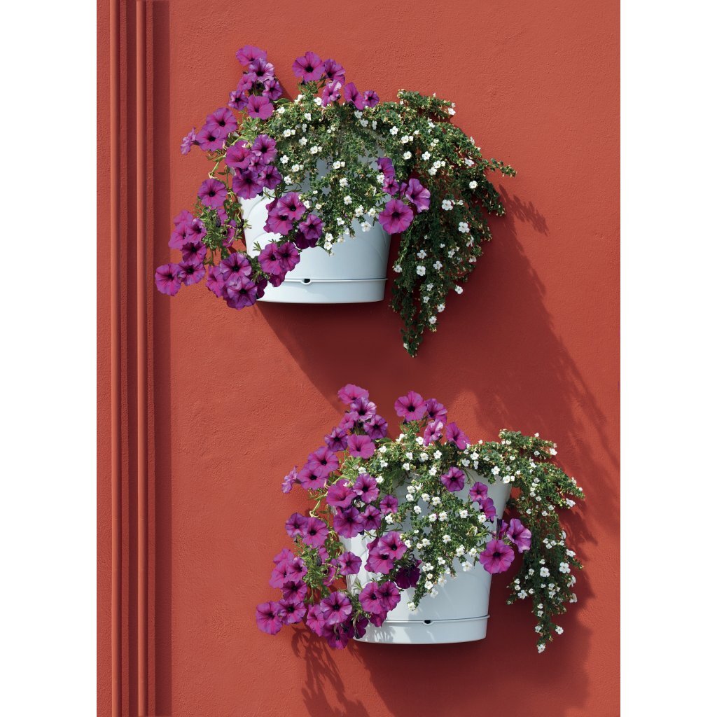 Bama Tulipano bloempot 5l 34,5x19x30 cm 4 stuks wit