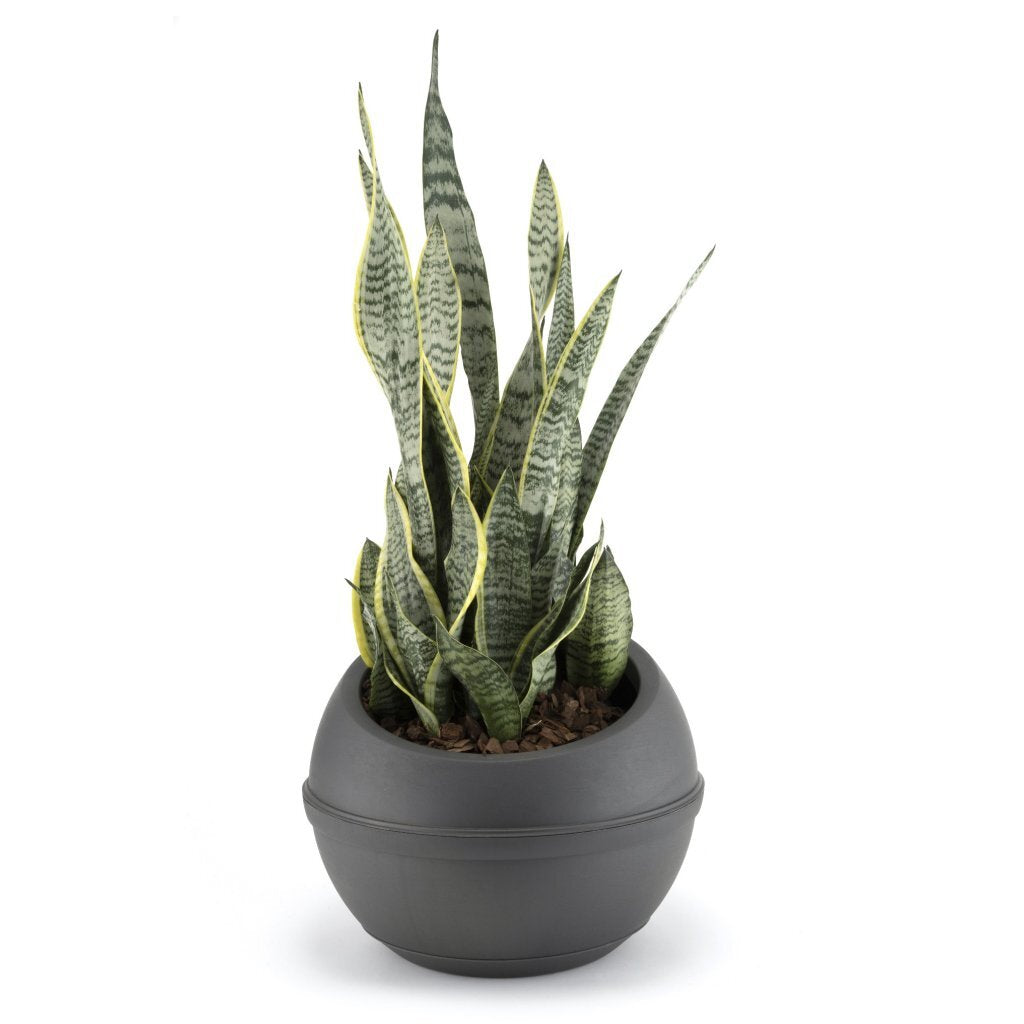 Bama sfera bloempot 23l 40,5x32 cm antraciet